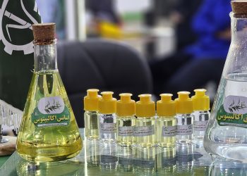 پایان نمایشگاه هفته دولت، توسعه نیشکر؛ ویترینی از نوآوری و اشتغال