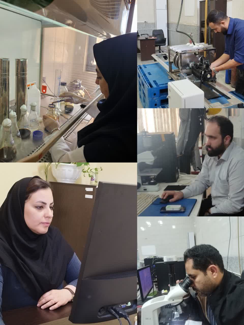 تکیه بر دانش و توان داخلی