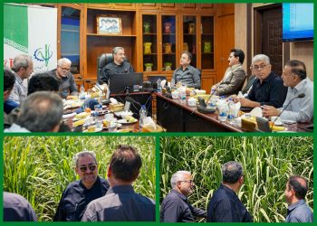 توانمندسازی کسب‌وکارهای روستایی همجوار نیشکر/توسعه پایدار نیشکر با مشارکت جوامع محلی محقق می‌شود